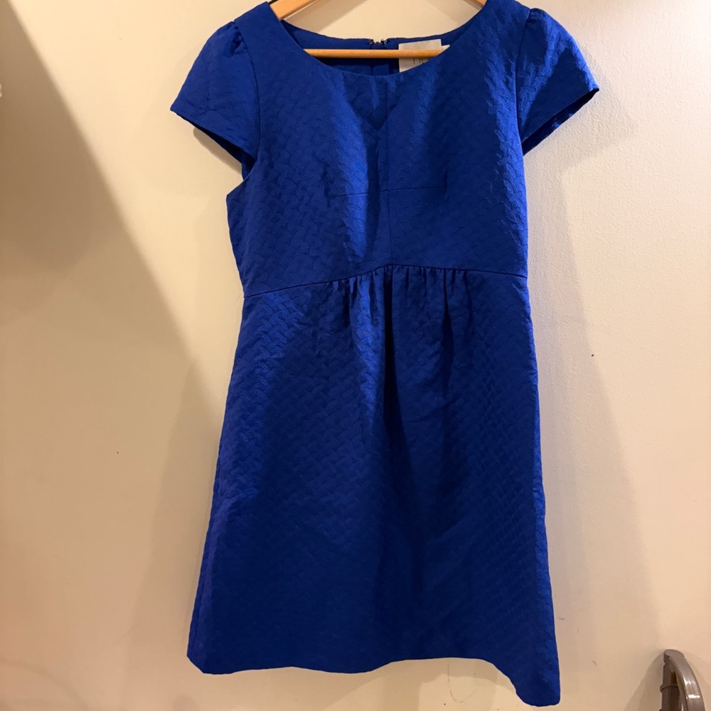 Maeve Royal Blue Textured Mini Dress